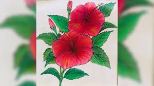 Screech of ice series 42 (abstract drawing) colored pencil and graphite on plastic paper. Hibiscus Drawing Hibiscus Pencil Colour Drawing How To Draw And Colour Hibiscus Youtube Hibiscus Drawing Colorful Drawings Drawings