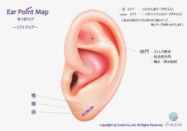 株式会社Grazia 耳つぼのセラピスト養成と耳つぼの販売はグラジア