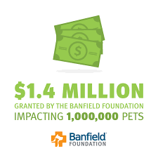 02 how we do it? Banfield Pet Hospital Mission Benefits And Work Culture Indeed Com