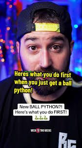 Ball Python Travel Carrier