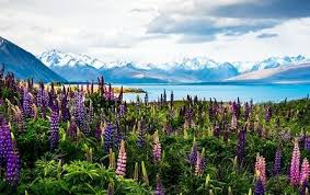 30 World S Best Places To Visit U S News Travel Visit namibia and see nature like never before in one of the best vacation spots in the world in 2021. 30 world s best places to visit u s