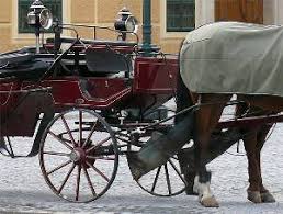 Who was tiggy hancock and what was her cause of death? Schwerer Fiaker Unfall In Wien Pferd Eingeschlafert Propferd At Osterreichs Unabhangiges Pferde Portal News Aktuelle News