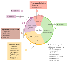 Image result for Alkylating Agent