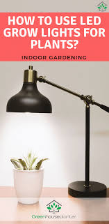 We did not find results for: How To Use Led Growlights For Plants Indoor Gardening Grow Lights For Plants Indoor Grow Lights Indoor Plants Low Light