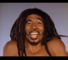 I hate the fact that Whitebeard had a mustache but no one acknowledged it