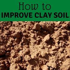 Improving Clay Soil Garden Org Planting In Clay Soil Improvement Clay Soil