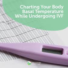 charting your body basal temperature while undergoing ivf