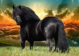 Los Mejores Nombres Para Caballos Y Yeguas Muy Originales Postposmo