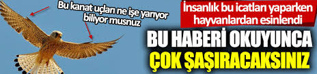 Bu Haberi Okuyunca Cok Sasiracaksiniz Insanlik Bu Icatlari Yaparken Hayvanlardan Esinlendi