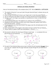 Answer the questions tonicity and osmosis worksheet biology 101 mary severinghaus 10 extra credit points. Diffusion And Osmosis Worksheet Answers Promotiontablecovers