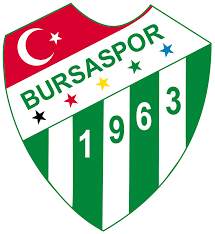 Takım sayısı kademeli olarak düşürülecek. Bursaspor Wikipedia