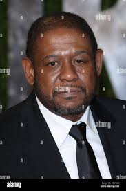 Whitaker hi-res stock photography and images