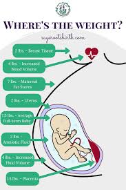 Pin On Pregnancy
