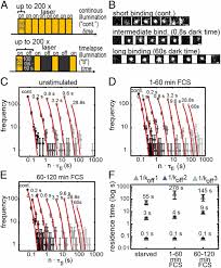Nehmen sie am srf sport tippspiel zur uefa euro 2020™ (bzw. Single Molecule Imaging Of The Transcription Factor Srf Reveals Prolonged Chromatin Binding Kinetics Upon Cell Stimulation Pnas