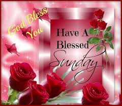 Check spelling or type a new query. Happy Sunday Blessings Wishes Novocom Top