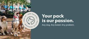 Dog training in walnut creek, bay area and surrounding areas! Koru K9 Dog Training Rehabilitation Home Facebook