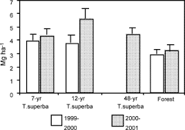 Image result for Thomandersia congolana