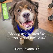 At petsmart, we never sell dogs or cats. Petvet Clinic Tractor Supply Co
