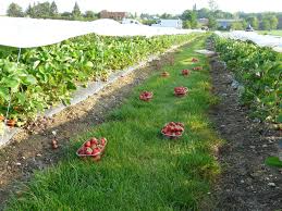 Maybe you would like to learn more about one of these? Serres De Gouaix Gilblas Home Facebook