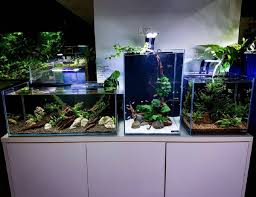 Pas untuk ditempatkan di meja. Ingin Beli Meja Aquarium Perhatikan 4 Jenis Meja Ini Blog Qhomemart