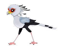 Closeup view at single secretarybird (sagittarius serpentarius) secretary bird, sagittarius serpentarius, walking through the long grass of amboseli. Bird Of The Year 2019 Birdlife South Africa