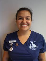 Brookend Vets In Witham