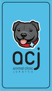 Animal clinic jakarta merupakan klinik hewan yang didukung oleh tenaga medis profesional (dokter hewan praktisi) dalam mendiagnosa penyakit dan juga memiliki rasa berbelas kasih terhadap hewan kesayangan anda. Animal Clinic Jakarta 2 667 Photos Local Business Jl Warung Jati Barat No 23 Warung Buncit Raya Jakarta Indonesia 12510