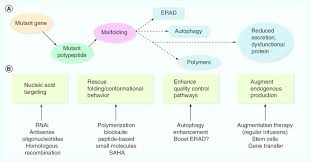 There is no specific treatment option which can cure the a1at deficiency. Therapeutic Approaches In A 1 Antitrypsin Deficiency A Processing Download Scientific Diagram