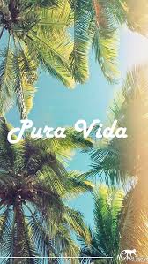 Culture Of Costa Rica Costa Rican Pura Vida Iphone 5s Wallpaper Summer Wallpaper Palm Tree Iphone Wallpaper