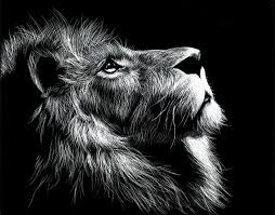 Pet The Lion By Halfeatencookie On Deviantart In 2020 Scratchboard Art Techniques Scratchboard Art Black Paper Drawing