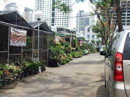 Araneta city uploaded few photos of the famous comedian his photos at farmers market went viral online. Farmers Garden Cubao Quezon City Philippine Observers