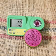 Dragon fruit is named hot new superfood 2013. Ax Dragon Fruit Purple Fleshed Variety From Spicy Exotics