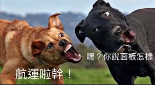 郵局查詢 國內、國際郵件追蹤查詢 兩岸郵政速遞(快捷)郵件查詢 兩岸郵政e小包郵件查詢 禁寄物品(含各國)及危. Ruxvpcw1vkcbjm