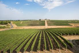 Chateau Haut Grelot Blaye Bordeaux Wine