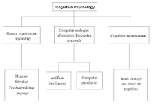 Image result for Explain a theory mentioned for each topic (1 theory per topic) and its application to the field of psychology 1. Lashley's theory is of the Engram