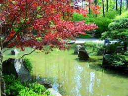 Japanese Gardens At Manito Park Spokane Wa The Koi Pond This Place Is So Beautiful Japanese Garden Places To Go Favorite Places