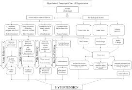 Understanding Hypertension In The Light Of Ayurveda