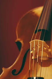Royalty Free Violin Bow Photos Free Download Pxfuel