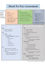 Head To Toe Assessment Guide Nursing Students Health Assessment Class 2 Pages In 2020 Nursing School Notes Nursing Assessment Nursing Student Tips