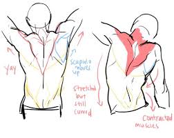 Maybe you would like to learn more about one of these? Character Anatomy Back