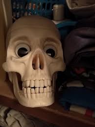 Ian Bradbury (minus the beard unusually)