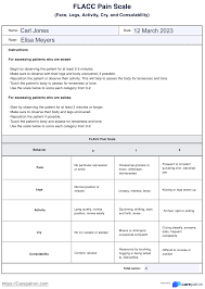 Image result for FLACC Scale