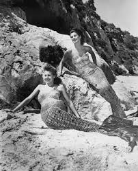 Image result for real mermaid