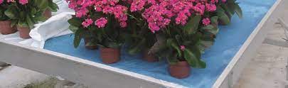 Maybe you would like to learn more about one of these? Tips For Using Capillary Matting Royal Brinkman