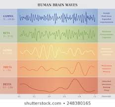 Immagini Foto Stock E Grafica Vettoriale A Tema Brain Wave