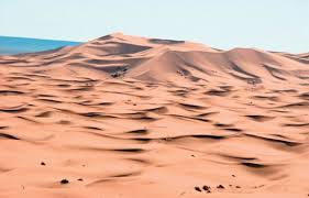 Outre le matériel, les roses ont été très généreuses car elles nous ont remis des dons financiers. Les Roses Des Sables Le Devoir
