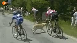 'crashes are always going be part of the game. 7 Of The Worst Crashes In Tour De France History Active