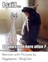 Clean cat memes image memes at relatably com. 25 Best Memes About Mama Tad Mama Tad Memes