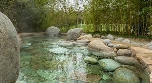 Best rates for balneario de mondariz in 2021. Escapadas Al Balneario De Mondariz El Mejor Precio