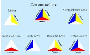 Theory Of Triangular Love By Robert Sternberg The 3 Points Or Sections Commitment Intimacy Science Of Love Types Of Love Relationships Love Triangle Quotes